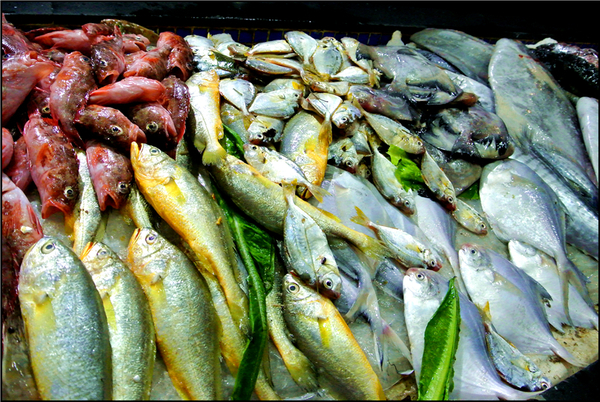 渔夫码头海鲜礼盒,海边渔人码头海鲜