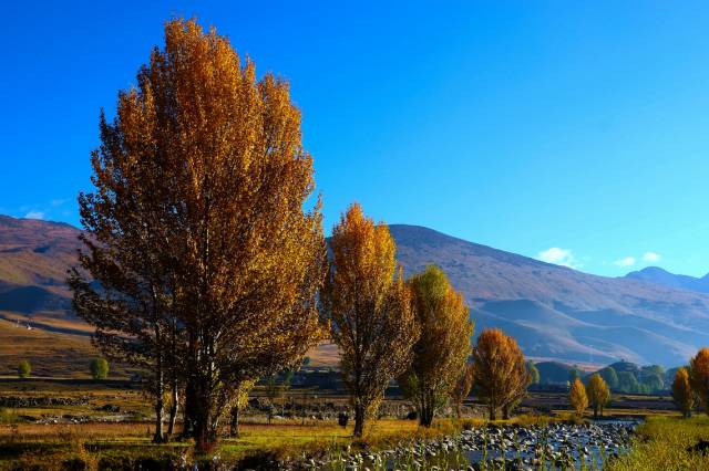 不需要知道你离世的理由，只愿你在天堂能重展笑容！