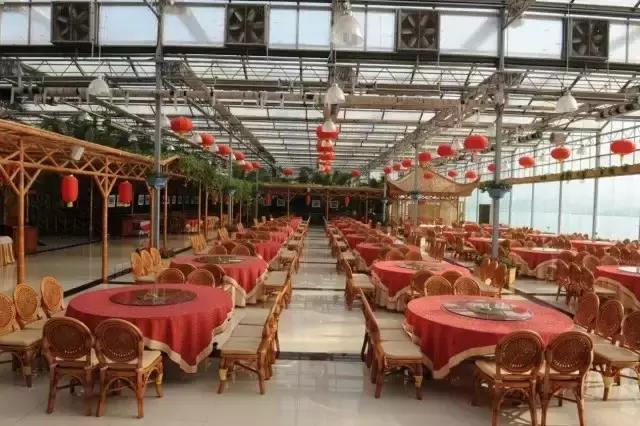 金沙湾黄河坛景区,金沙湾黄河坛景区怎么样