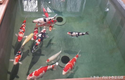 刨根问底“涌清水”！新型低能高效的生物膜法水处理装置