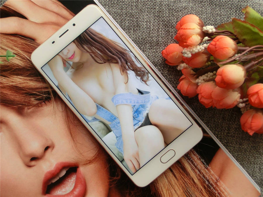 魅蓝明年旗舰,魅蓝系列排行