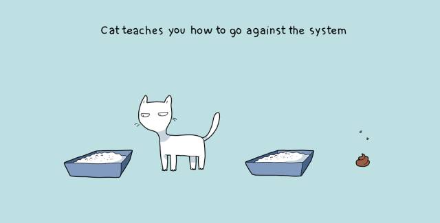 从把它带回家的那一刻起，相信你的生活就已经变了​