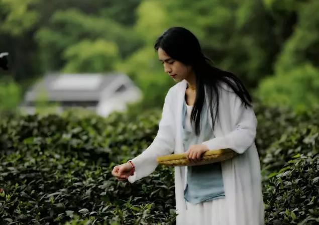 开学啦学英语,开学啦国学