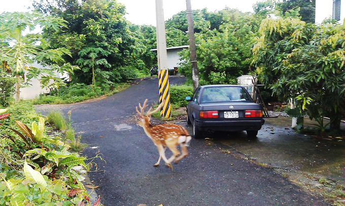 垦丁大街春节包车多少钱,从垦丁到花莲东海岸线游览包车