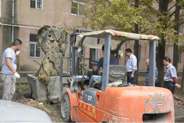 寿县三中学校最新消息,寿县三中旧校区