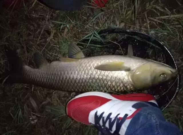 閽撻奔娓旇幏鎴樻姤,閽撻奔浜虹鎭╃埍