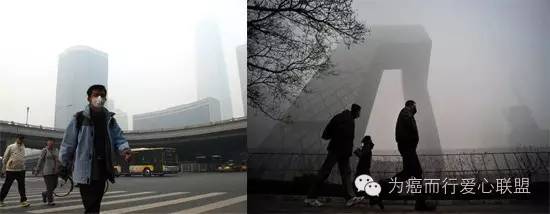 不要“霾”只要“肽”让你不当“尘惯吸”!
