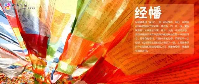 重阳节与老人互动,重阳节和老人互动