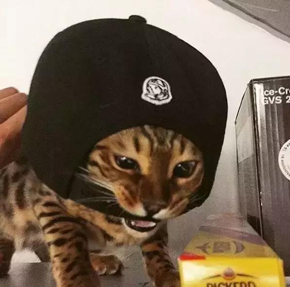 这些潮牌你认识吗街头采访,美国流行十大潮牌