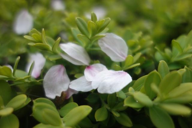 3月济州岛旅游游记,四月的济州岛机票