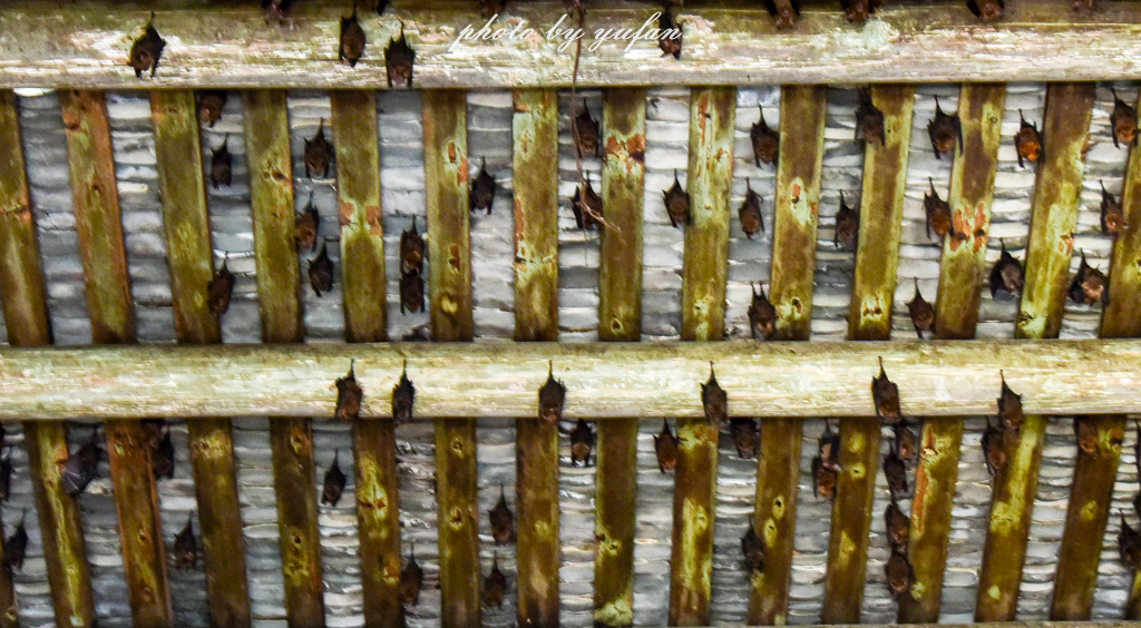 桥溪古韵宝善楼和继善楼哪个先建,桥溪古韵里除了继善楼还有什么楼