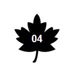 欢乐颂安迪是如何成为女强人的 (欢乐颂2安迪被撩)