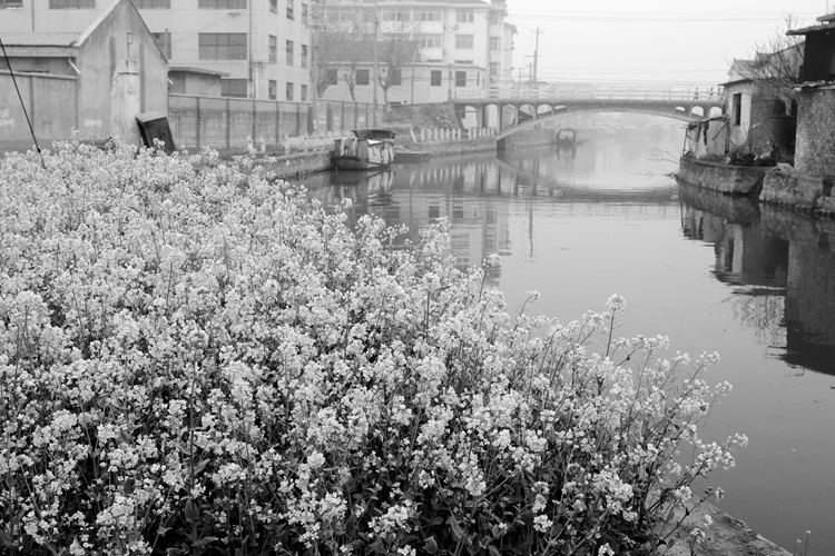 无锡八士镇老街航拍,无锡八士老街在哪里