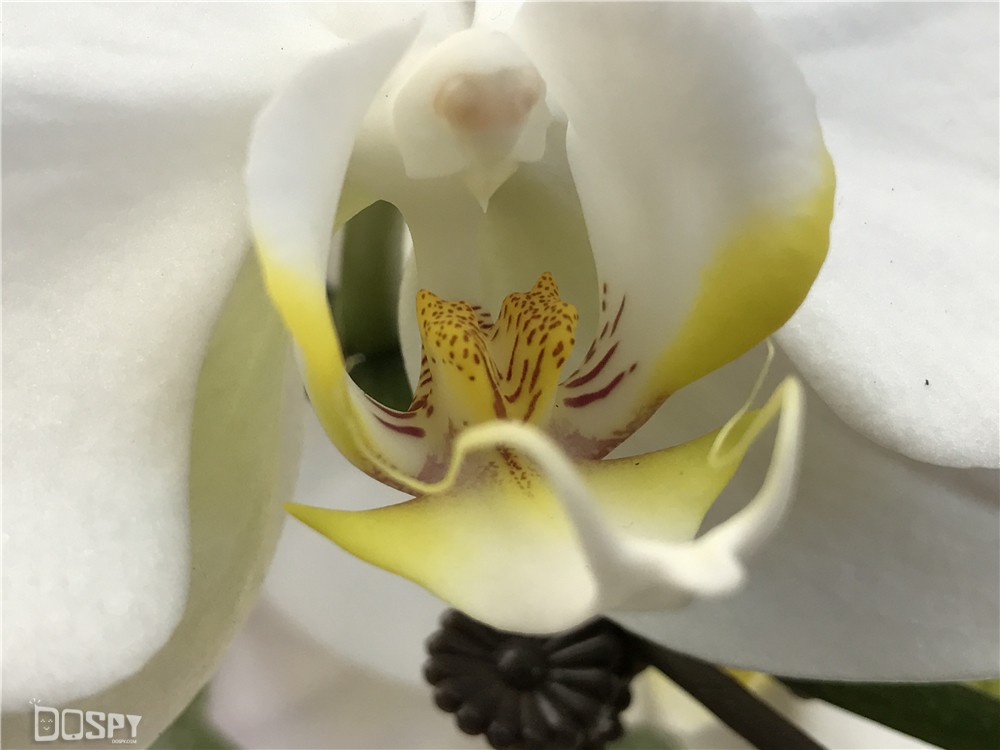 iphone7plus性能全评价,开箱测评iphone7plus亮黑版