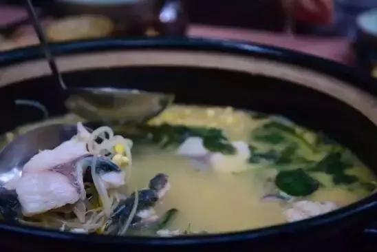 城市套路深我要回农村视频,城市套路深我要回农村dj