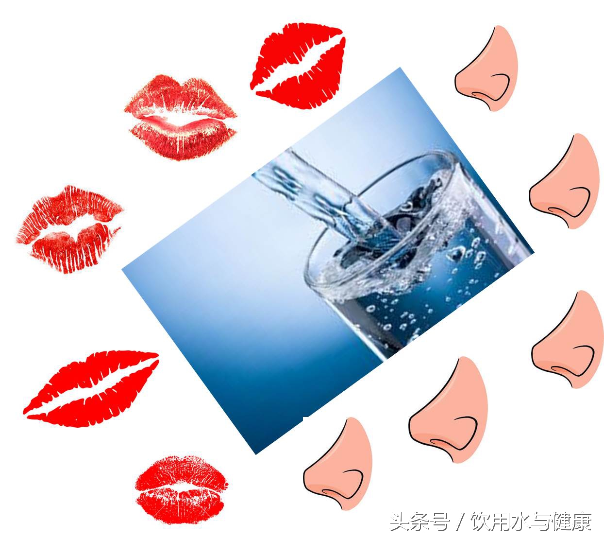 天然水体中异臭异味来源是什么 (自来水 水体 异味)