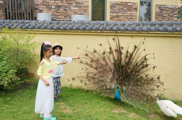 杭州热土庄园游玩攻略,杭州热土庄园位置