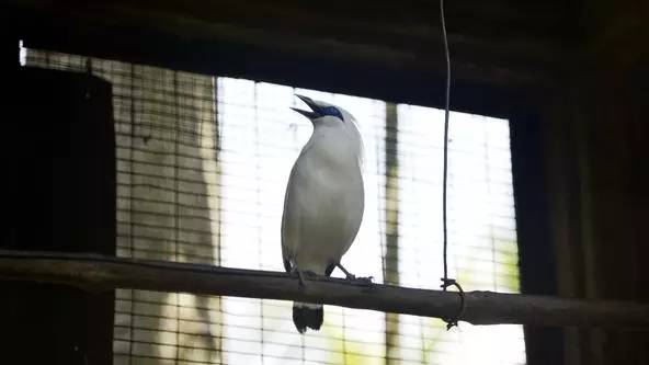 朋友圈发海边泳衣照好不好,朋友圈晒沙滩泳装