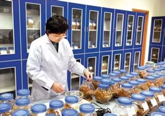 *子烟电**品油师,未来的高薪行业