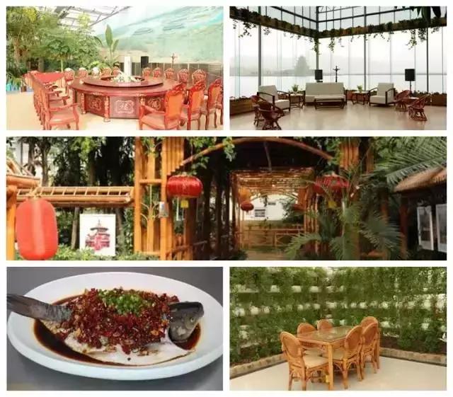 金沙湾黄河坛景区,金沙湾黄河坛景区怎么样