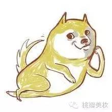 种草|扒一扒爱茉莉这颗高冷而平价的大白菜！