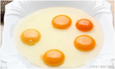 鸡蛋品种有好坏之分吗,鸡蛋优劣