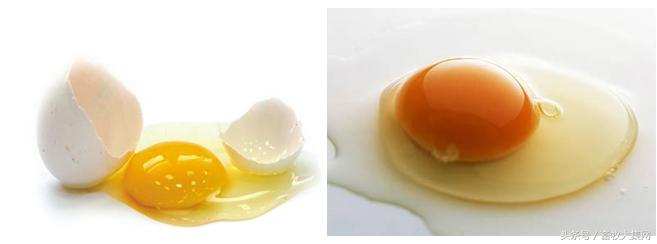 鸡蛋品种有好坏之分吗,鸡蛋优劣