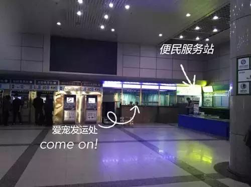 独家！教你如何带着宠物“坐“火车！