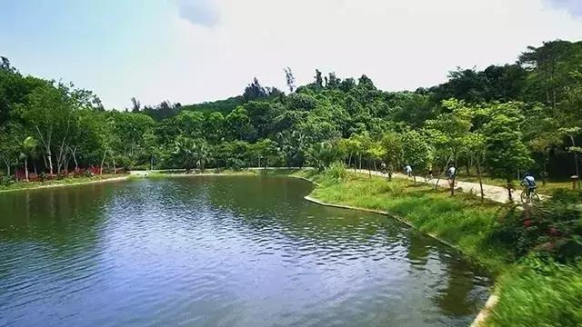 海南万宁国庆旅游攻略,万宁十大旅游必买品