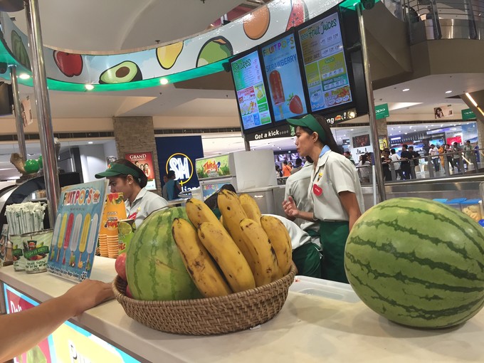 菲律宾潜水游记 (回忆菲律宾潜水的时光)