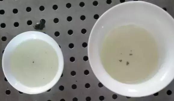 铁观音茶苦涩怎么回事,铁观音味道发涩是怎么回事