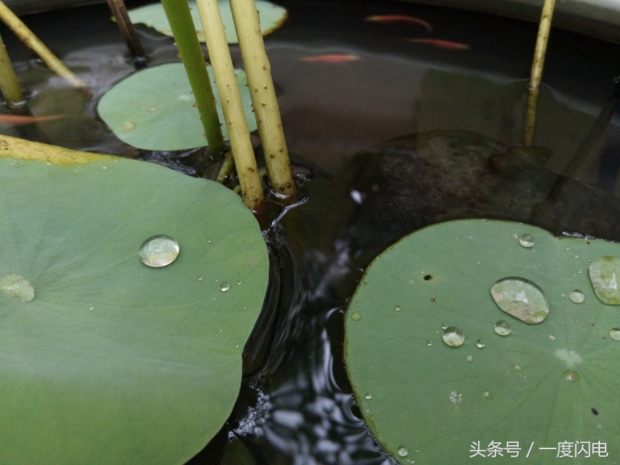 魅蓝手机u10,魅蓝u10白色