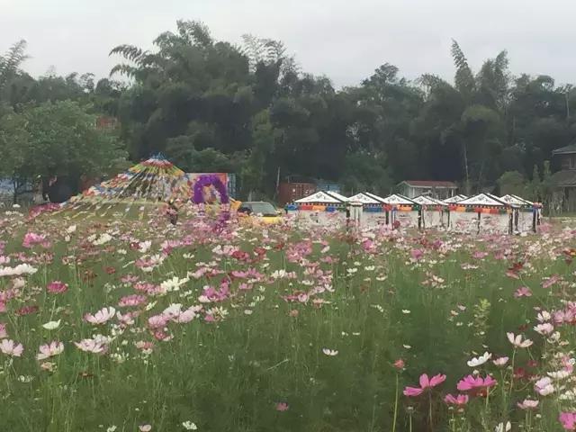 重阳节与老人互动,重阳节和老人互动