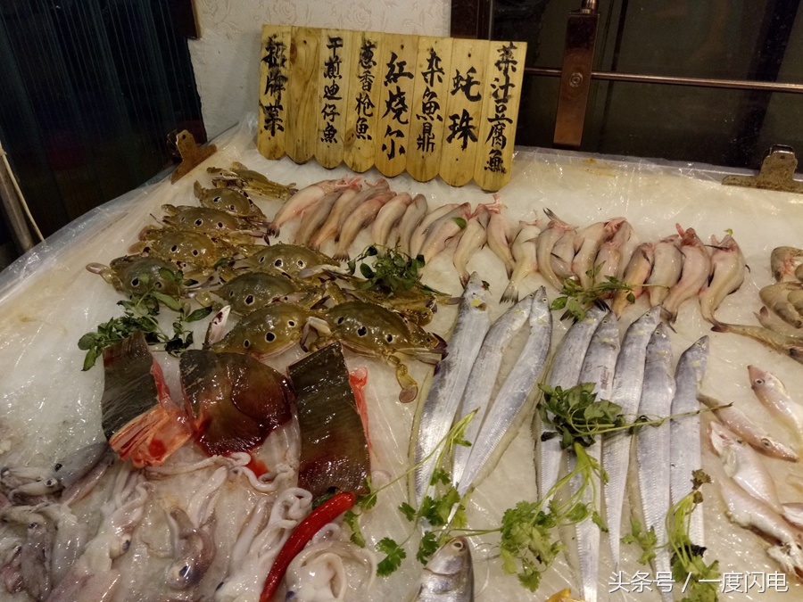 魅蓝手机u10,魅蓝u10白色