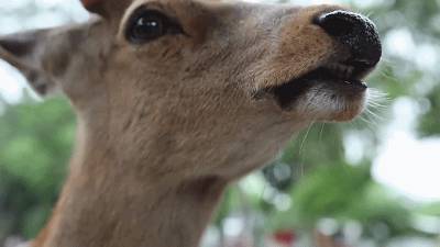 日本写给生活的情书,寄给时光的信件