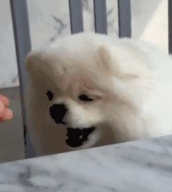 明明可以靠脸吃饭偏偏要靠球技,明明可以靠脸吃饭却偏偏要靠实力