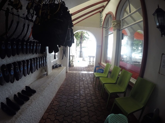 菲律宾潜水游记 (回忆菲律宾潜水的时光)