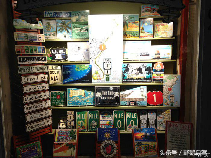 野鹅旅行,野鹅自驾无人区