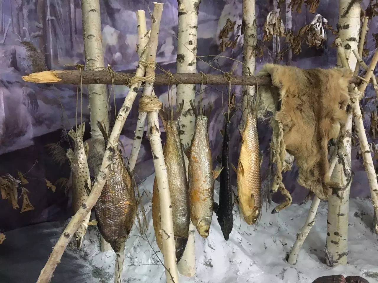 暂存于这个世界的我们，踏寻被遗忘的文化密码