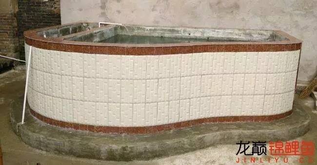 我的锦鲤梦,一直在坚持!