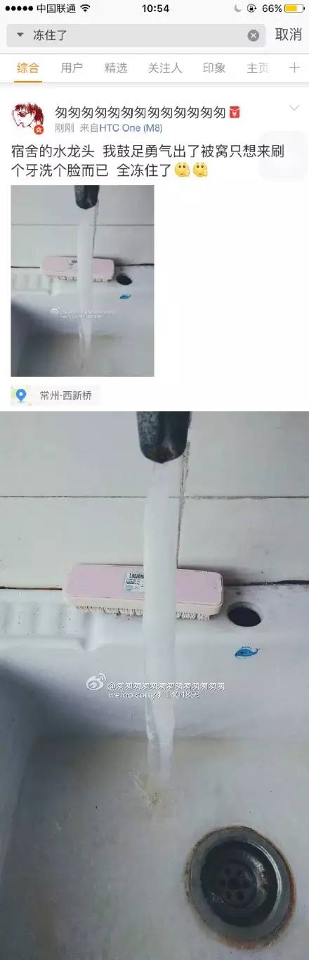 乌龟还能救过来吗,奄奄一息的小乌龟还有救吗