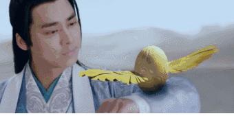 没想到你是这样的神狐小七！《青云志》灵（萌）兽（宠）大合集