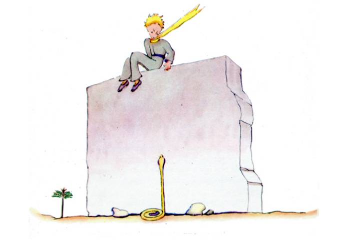 小王子最深度解读,小王子深度解析