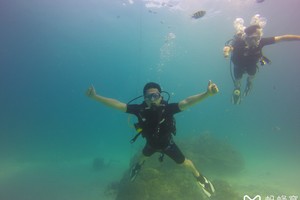 斯米兰普吉岛蜜月游攻略,从普吉岛怎么去蜜月岛