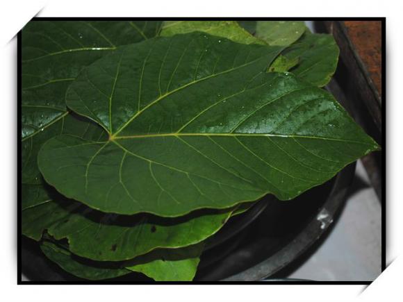 中老年白发变黑发食疗,治疗白发变黑发的食谱