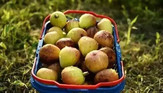 江西10.1小众自驾游路线推荐,江西最好的10条自驾游线路