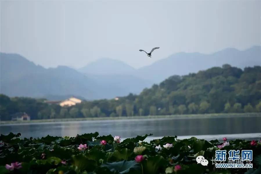 2016·G20大大告诉你什么叫妙语连珠！