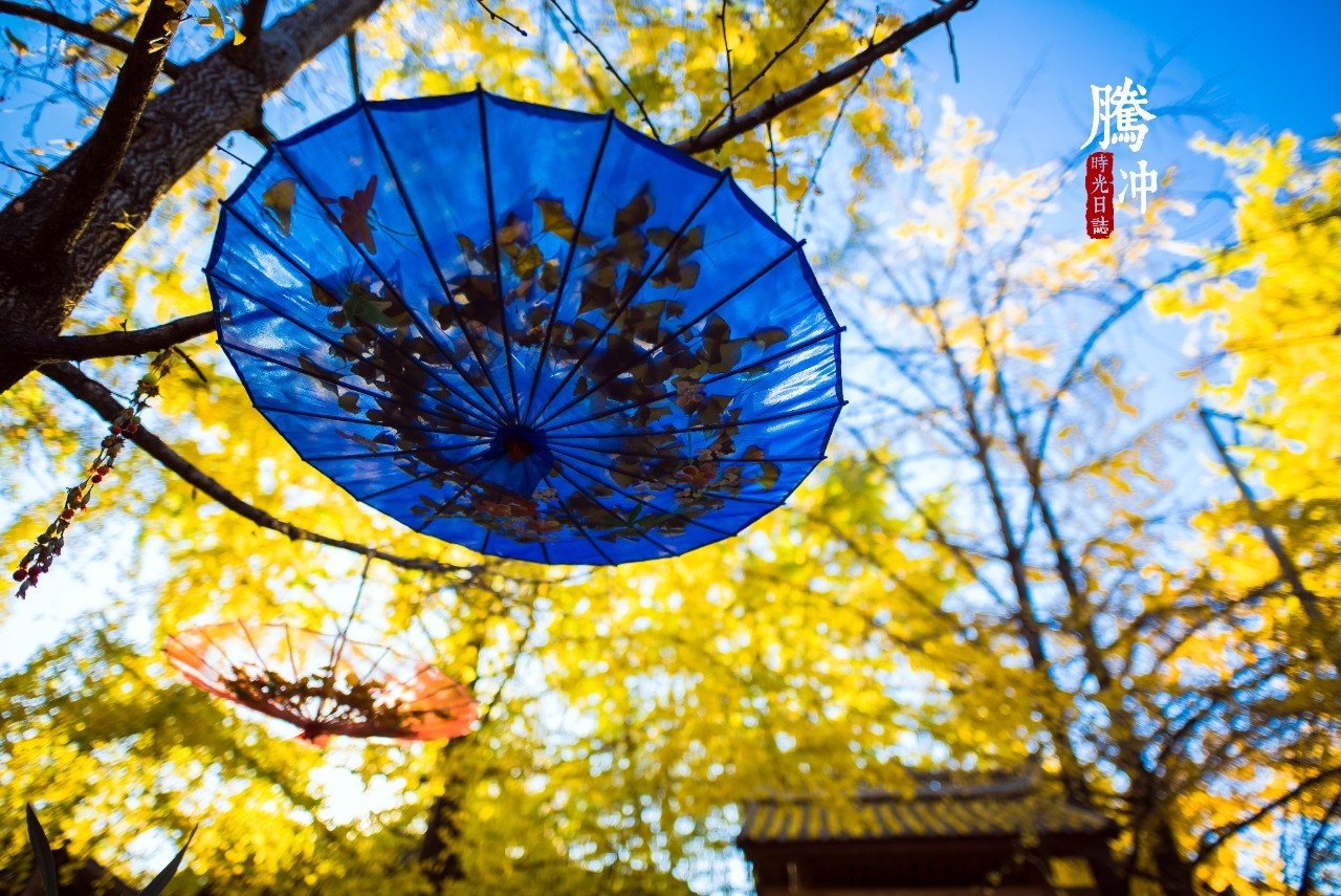 中国秋天最美的十个地方,秋天最美的旅游地点