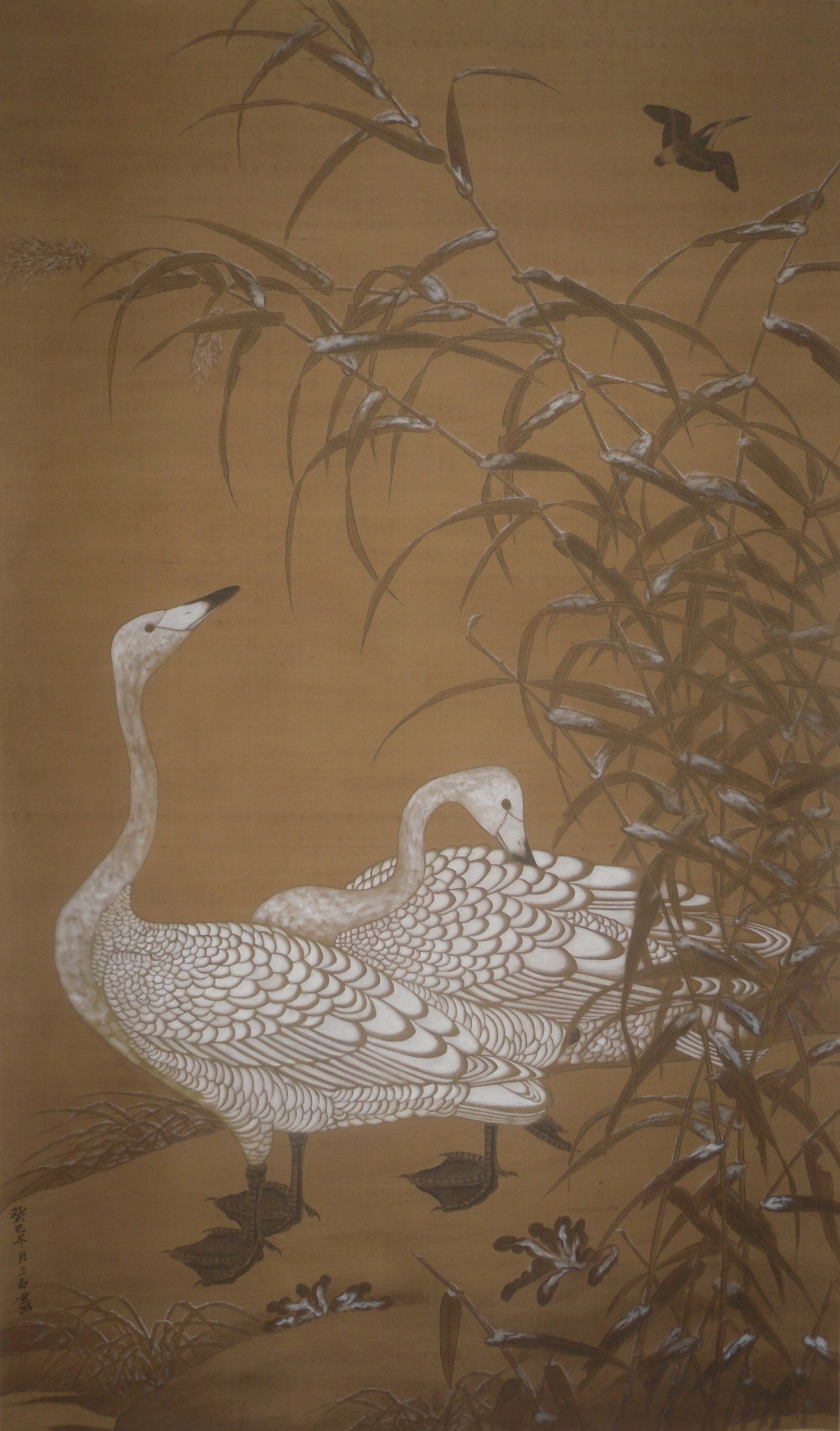 美协花鸟画家作品图片欣赏,花鸟画家李超作品欣赏