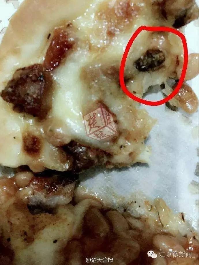 我伙呆!开着开着就饿了!两货车停高速应急车道,4人下车做饭...